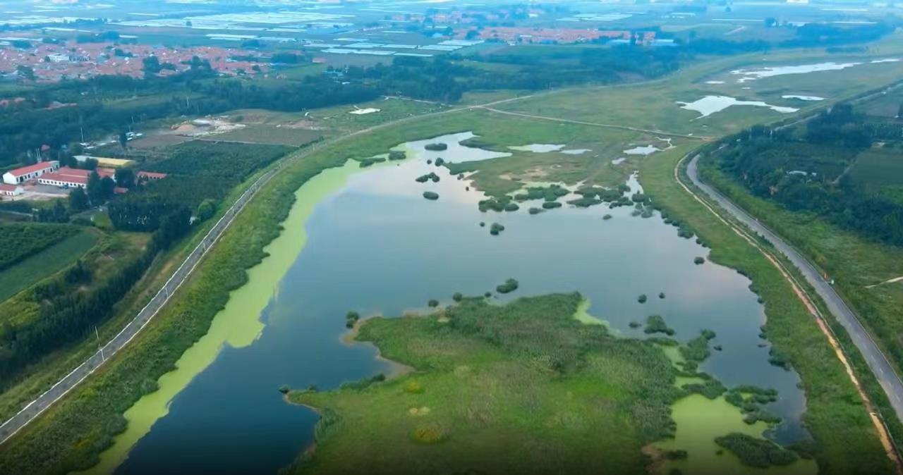 1671189369898110.jpg 1671189369898110.jpg