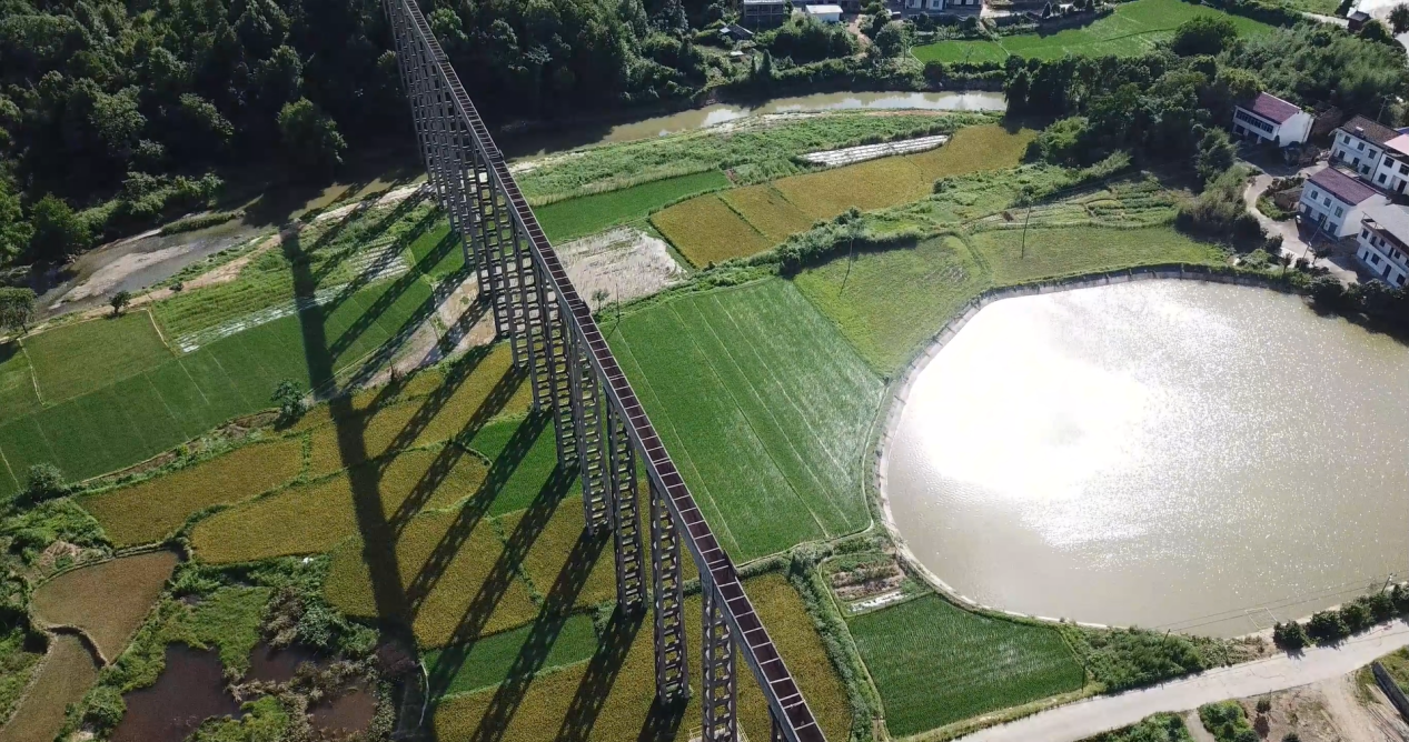 圖片11.png 圖片11.png