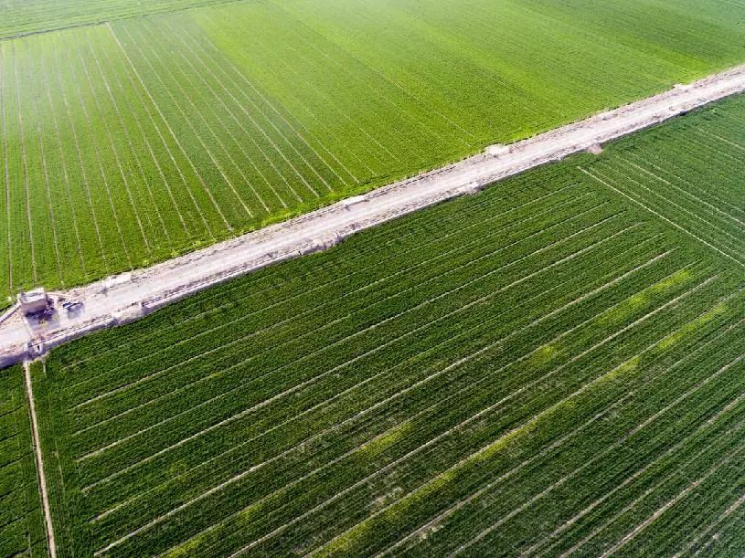 圖片13.png 圖片13.png